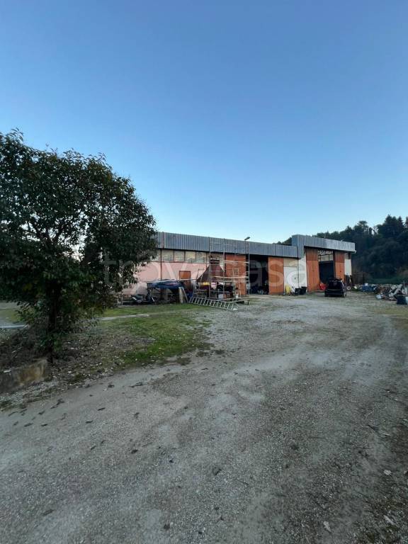 immagine annuncio 5 di 6