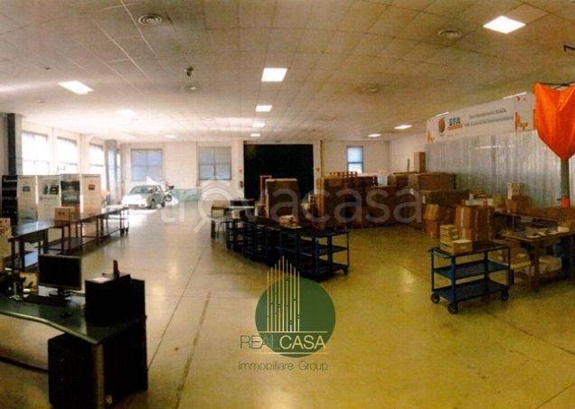 immagine annuncio 11 di 15