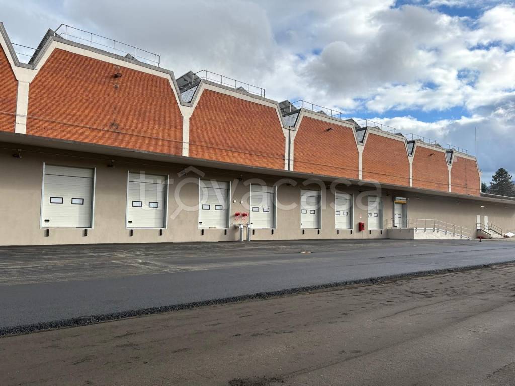 immagine annuncio 4 di 12