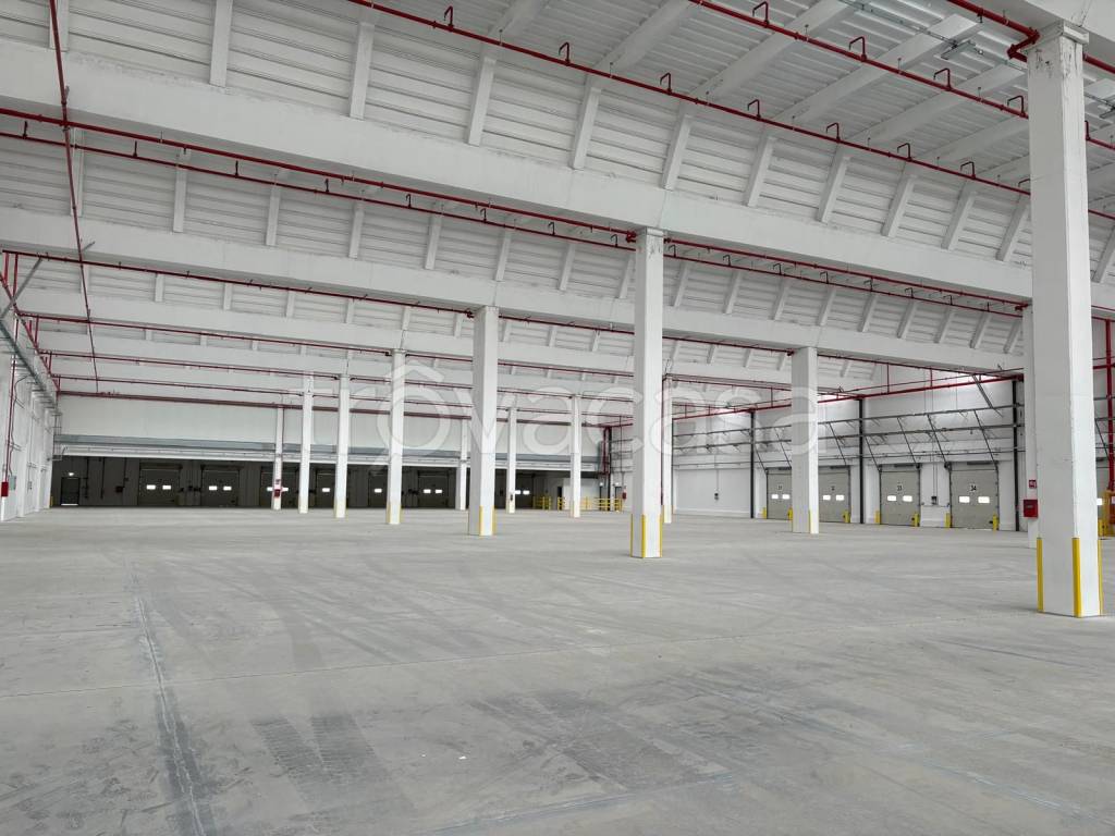 immagine annuncio 7 di 12