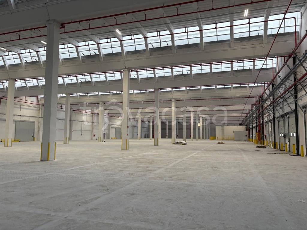 immagine annuncio 9 di 12