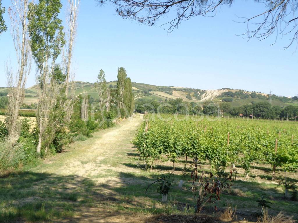 immagine annuncio 1 di 6