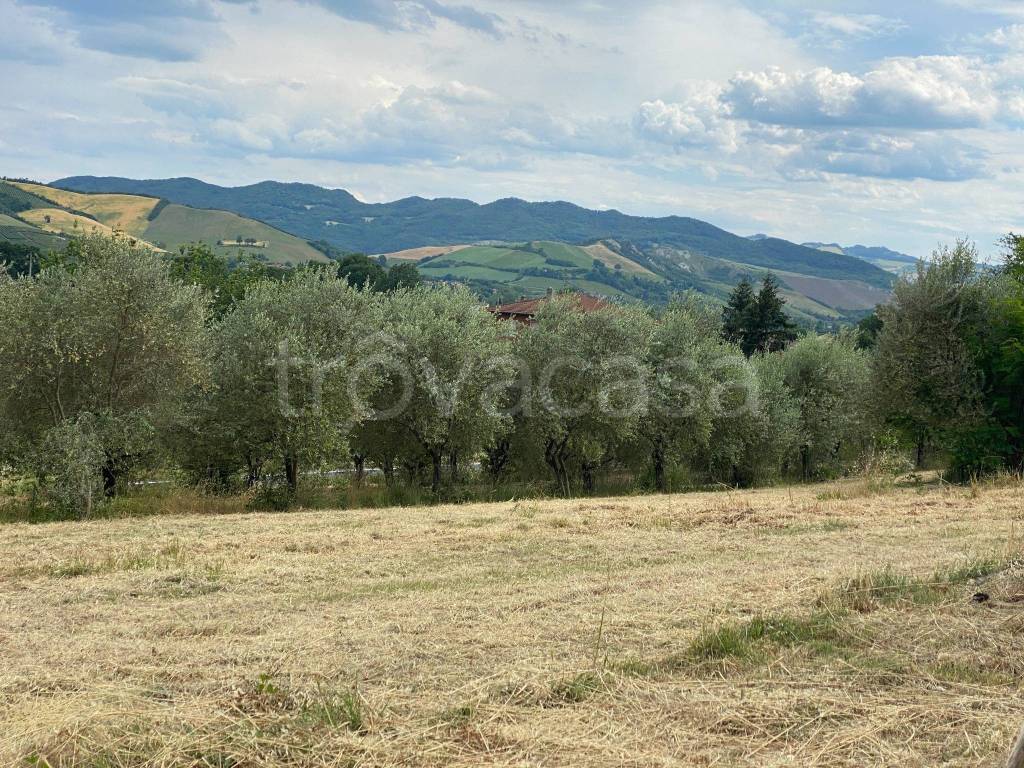 immagine annuncio 2 di 6