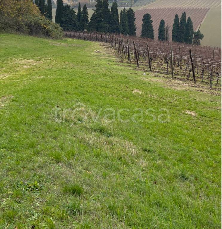 immagine annuncio 4 di 6