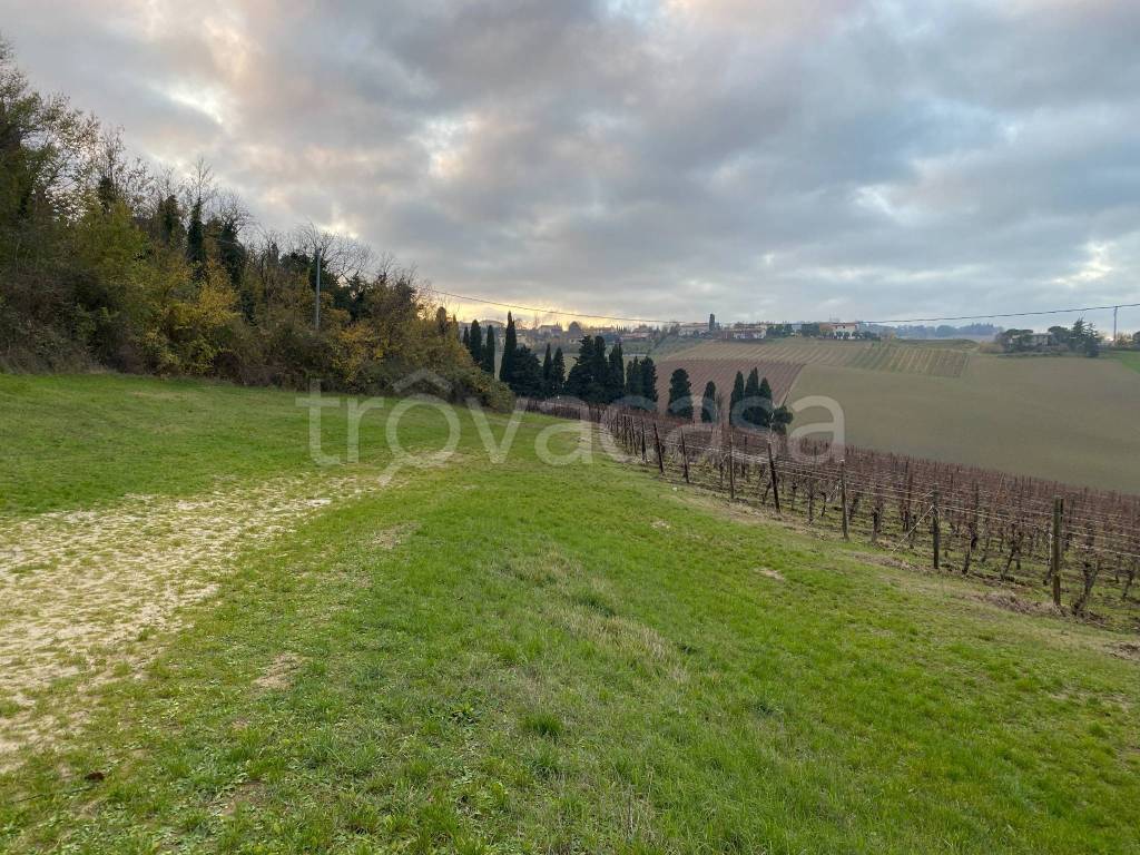 immagine annuncio 5 di 6