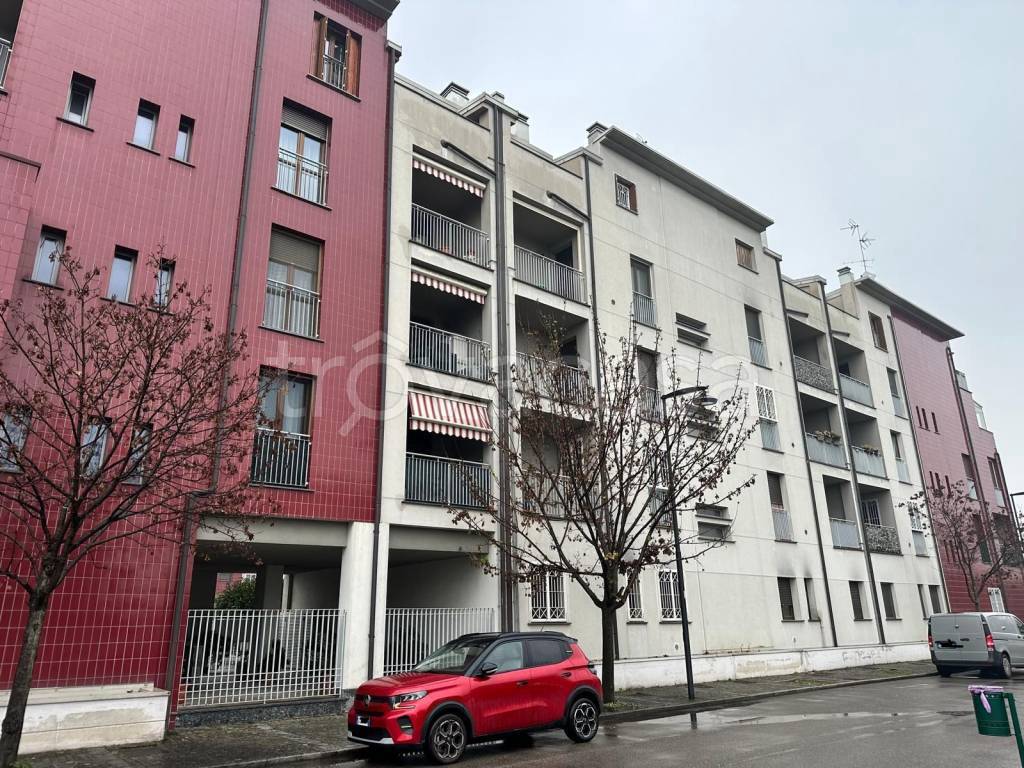 immagine annuncio 2 di 15