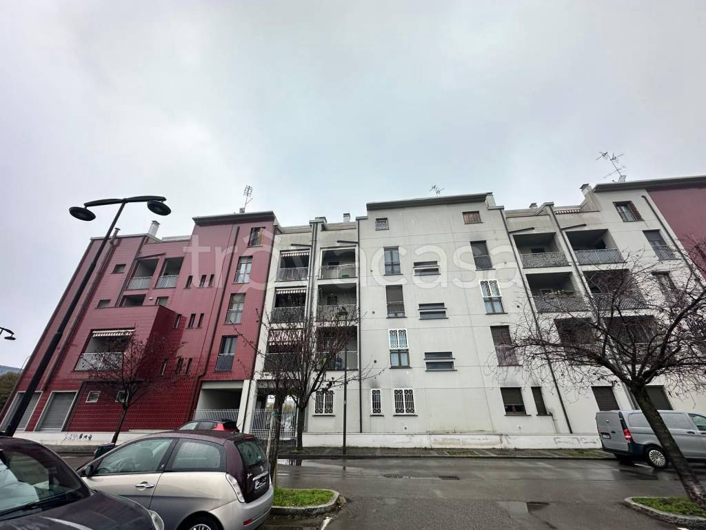 immagine annuncio 3 di 15