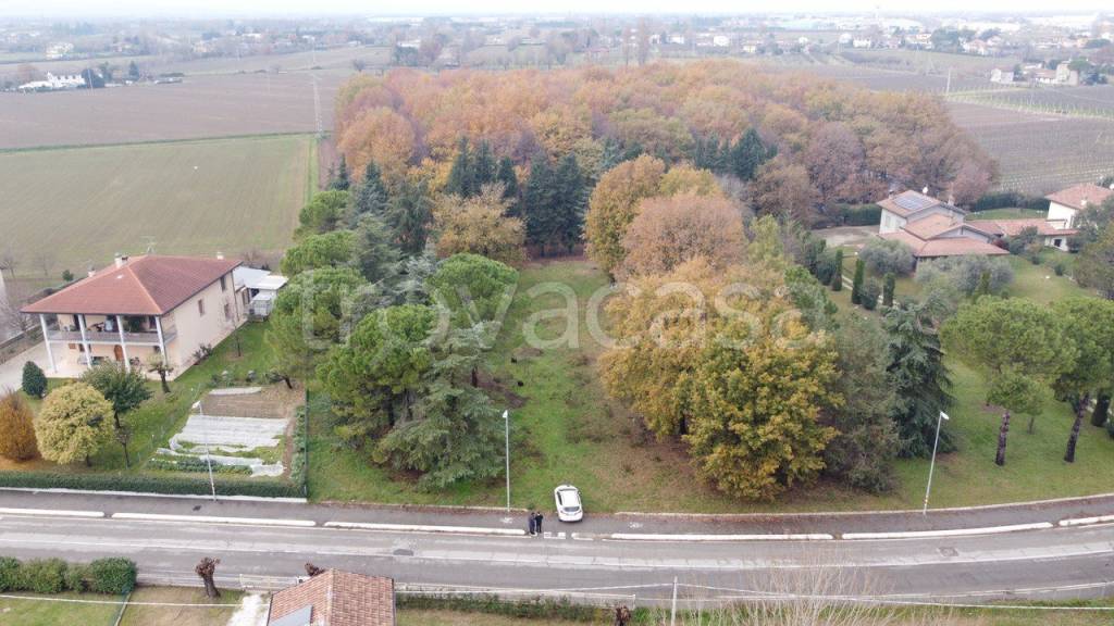 immagine annuncio 9 di 14