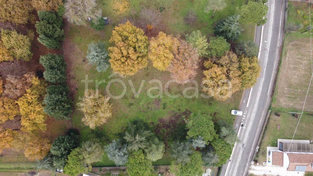 immagine annuncio 12 di 14