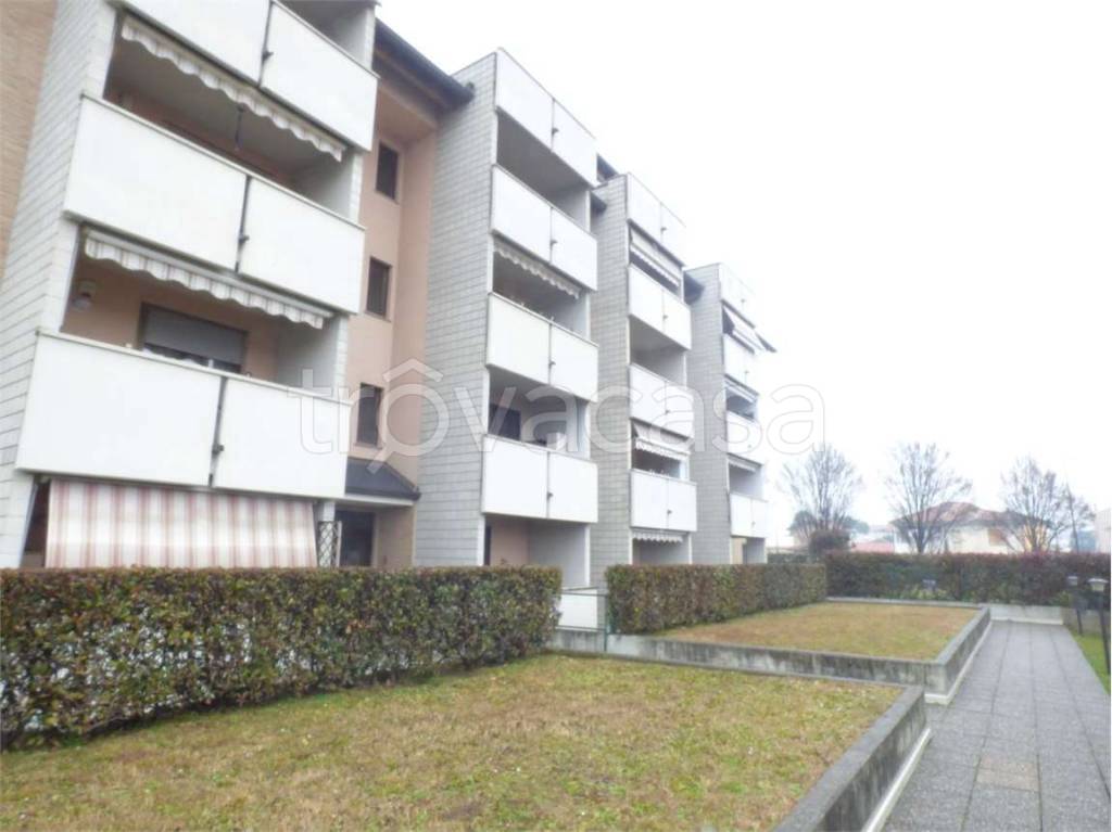 immagine annuncio 12 di 13