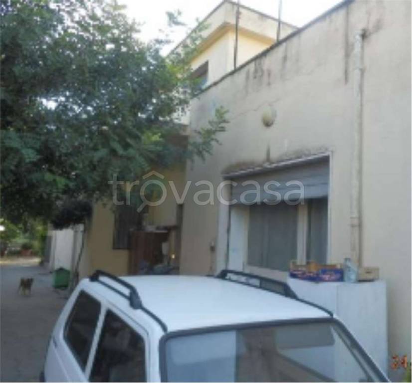 immagine annuncio 10 di 12