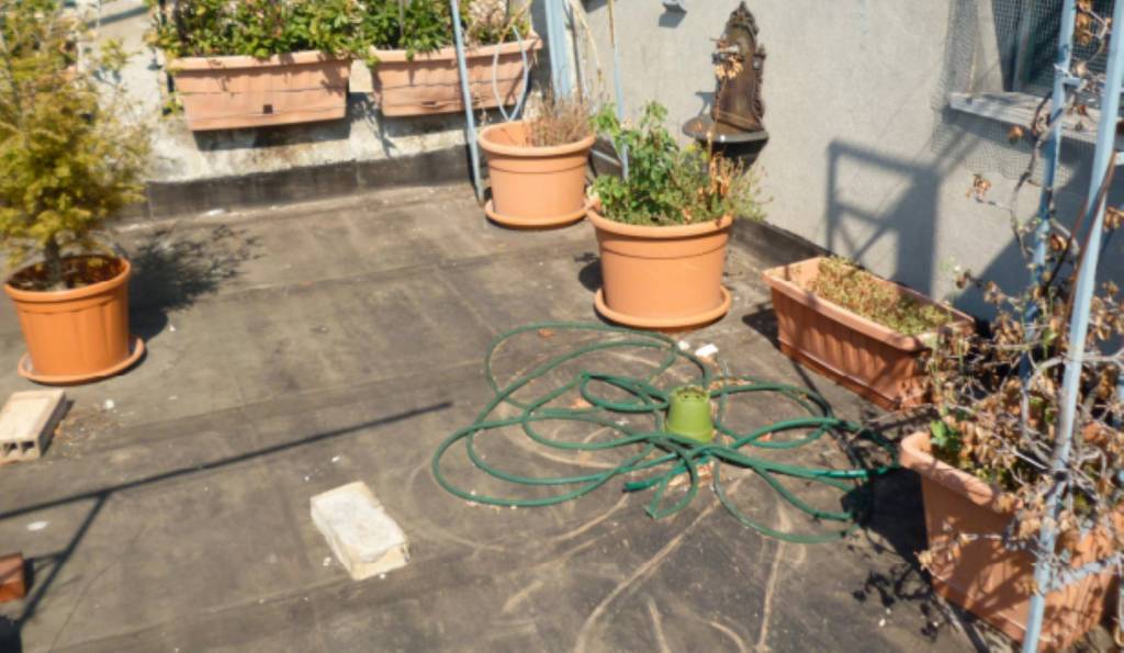 immagine annuncio 11 di 15