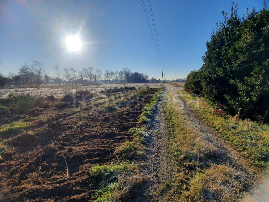 immagine annuncio 6 di 8