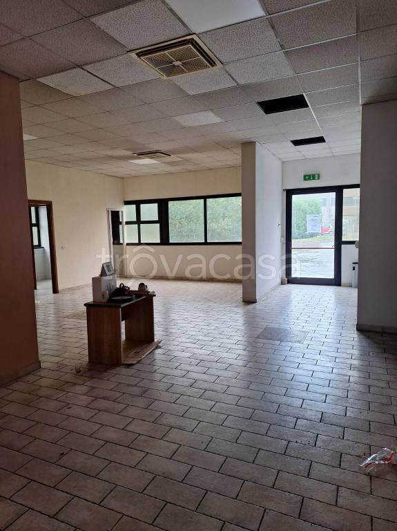 immagine annuncio 2 di 9