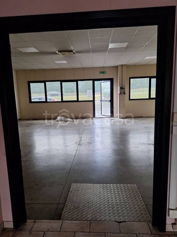 immagine annuncio 6 di 9