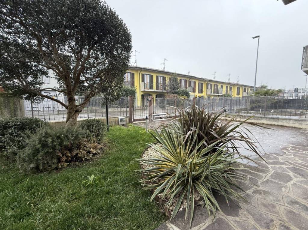 immagine annuncio 3 di 15