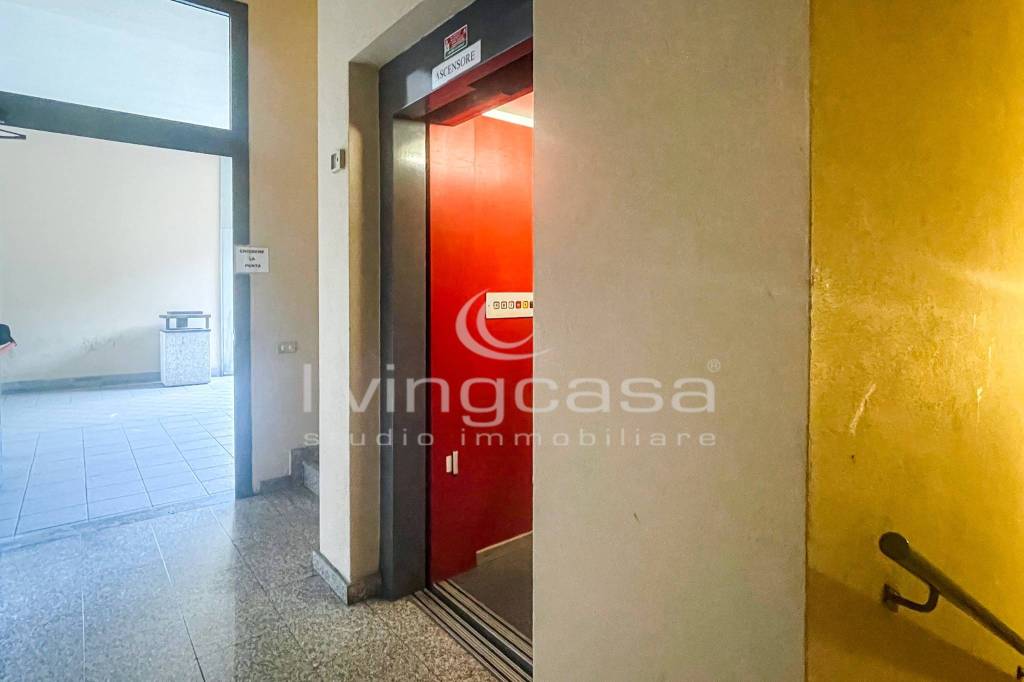 immagine annuncio 12 di 14