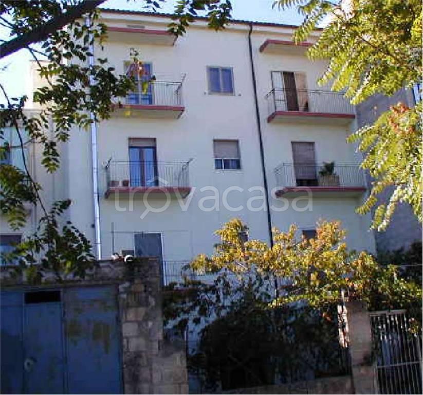 immagine annuncio 9 di 12