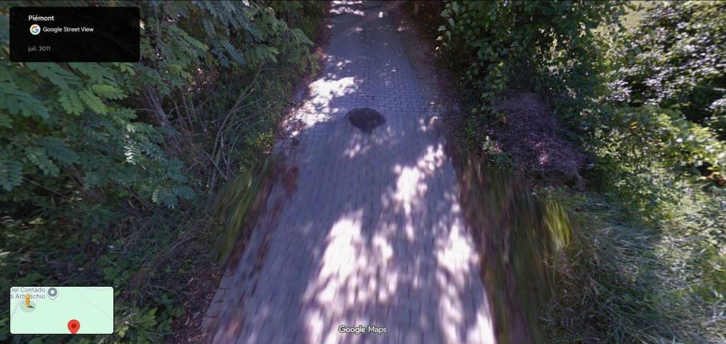 immagine annuncio 4 di 9