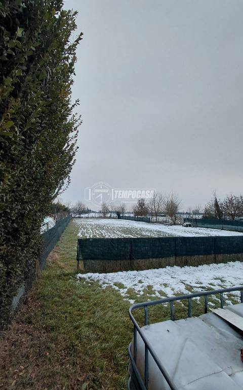 immagine annuncio 4 di 6