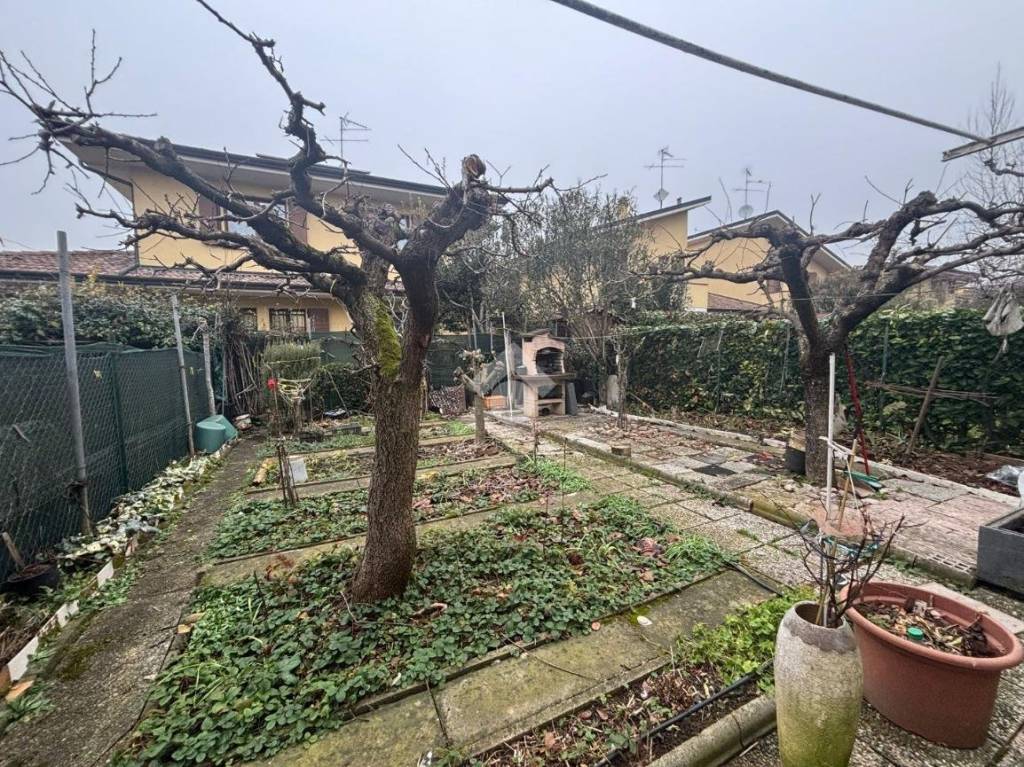 immagine annuncio 12 di 15