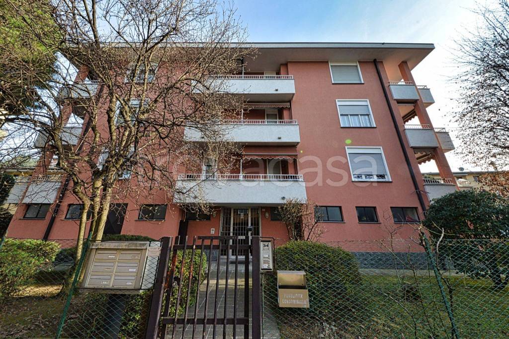 immagine annuncio 2 di 15