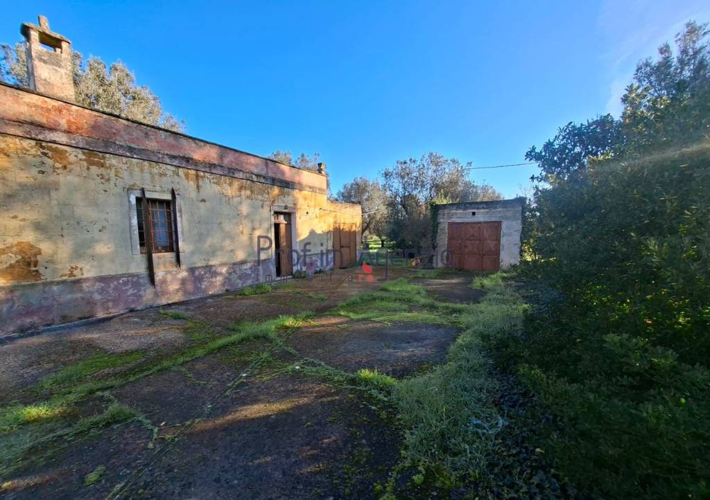 immagine annuncio 2 di 13