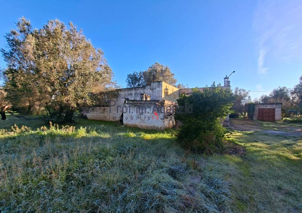 immagine annuncio 3 di 13