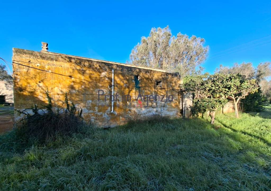 immagine annuncio 4 di 13