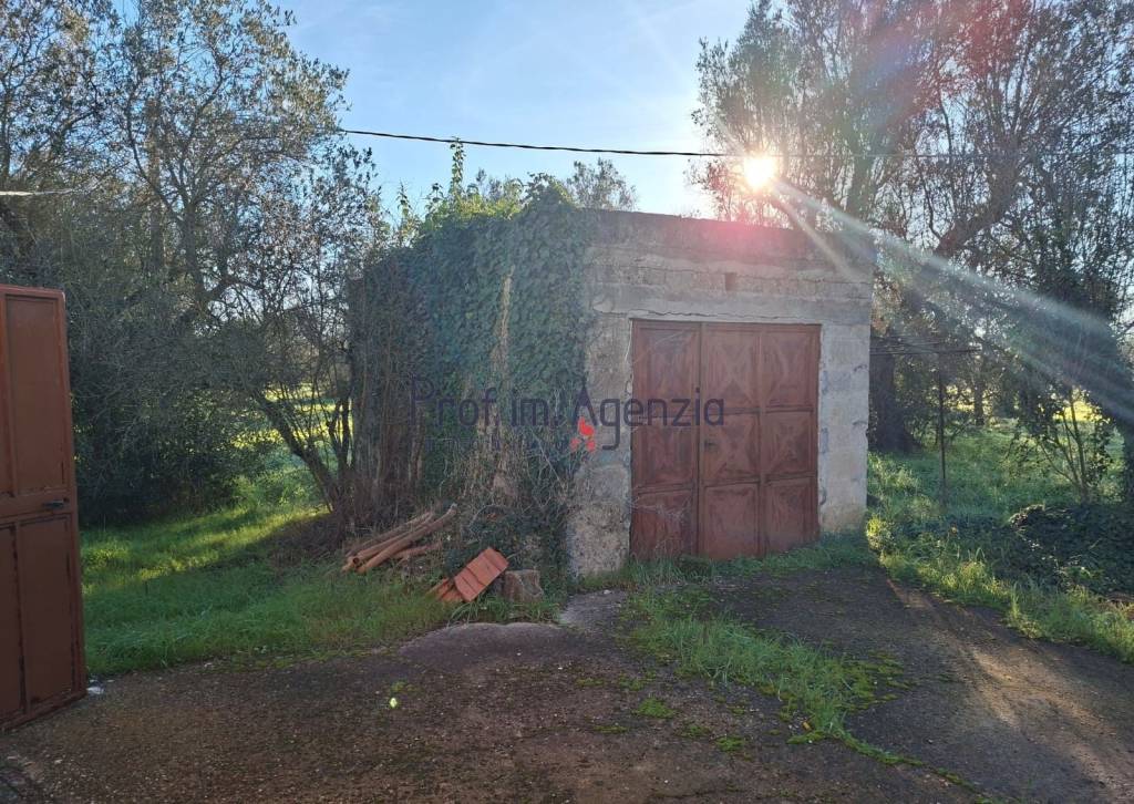 immagine annuncio 5 di 13