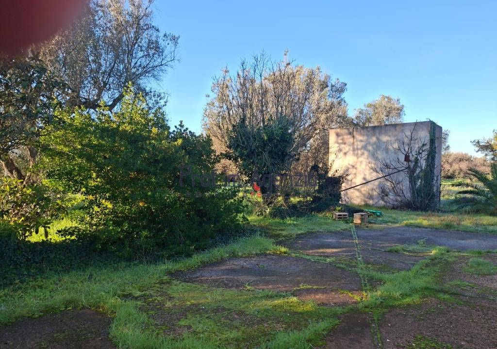 immagine annuncio 6 di 13