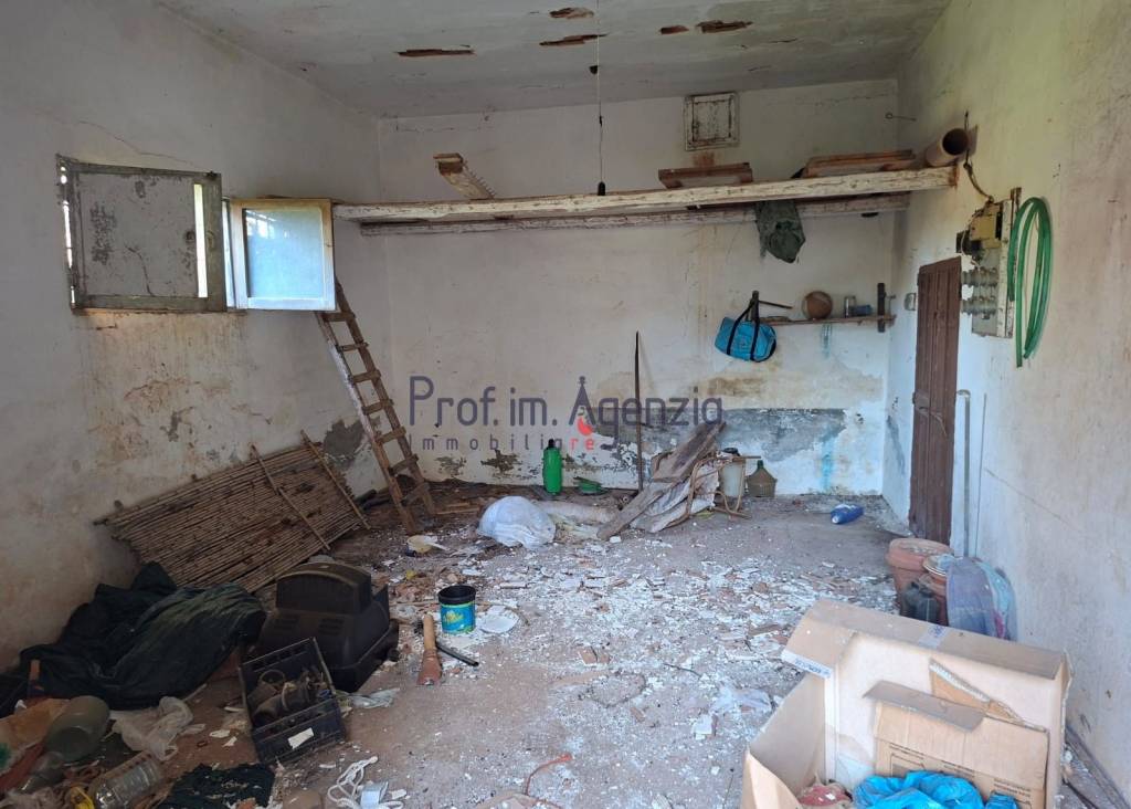 immagine annuncio 9 di 13