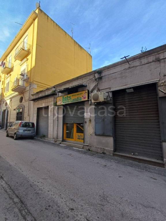 immagine annuncio 2 di 12