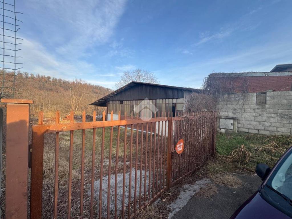 immagine annuncio 1 di 4