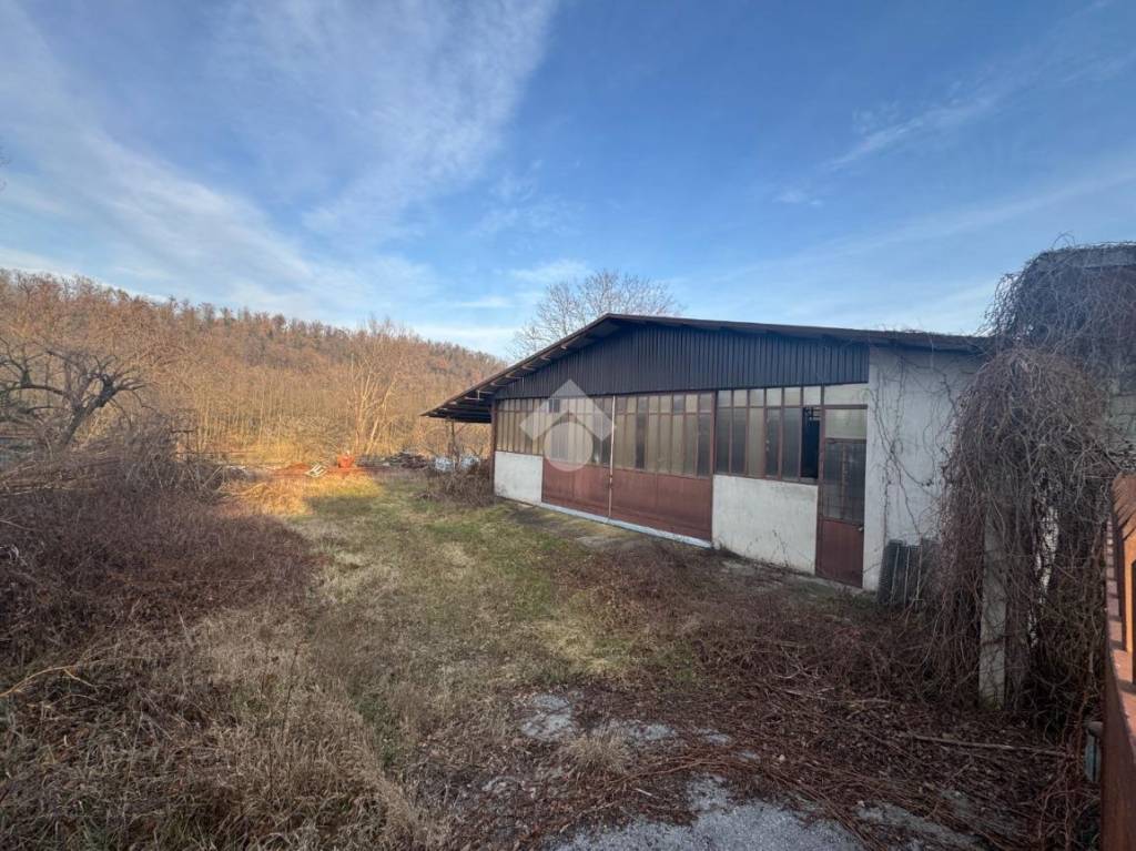 immagine annuncio 2 di 4