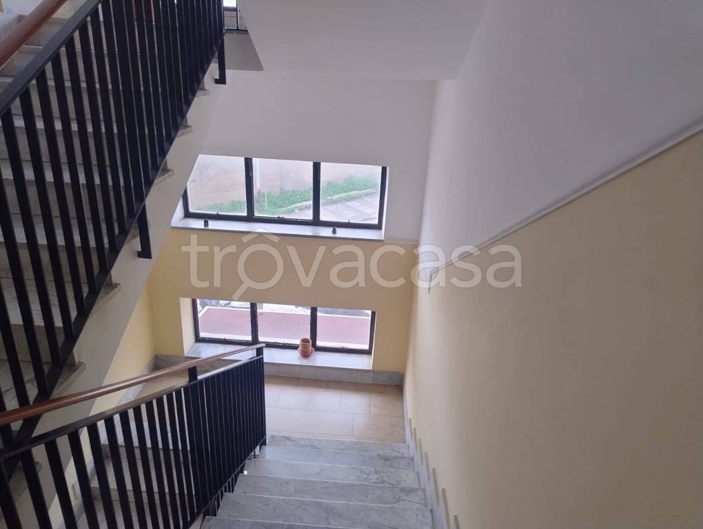 immagine annuncio 9 di 14