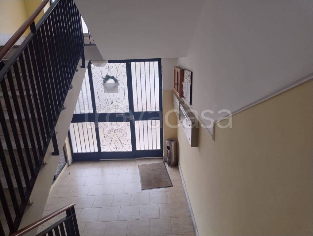 immagine annuncio 11 di 14