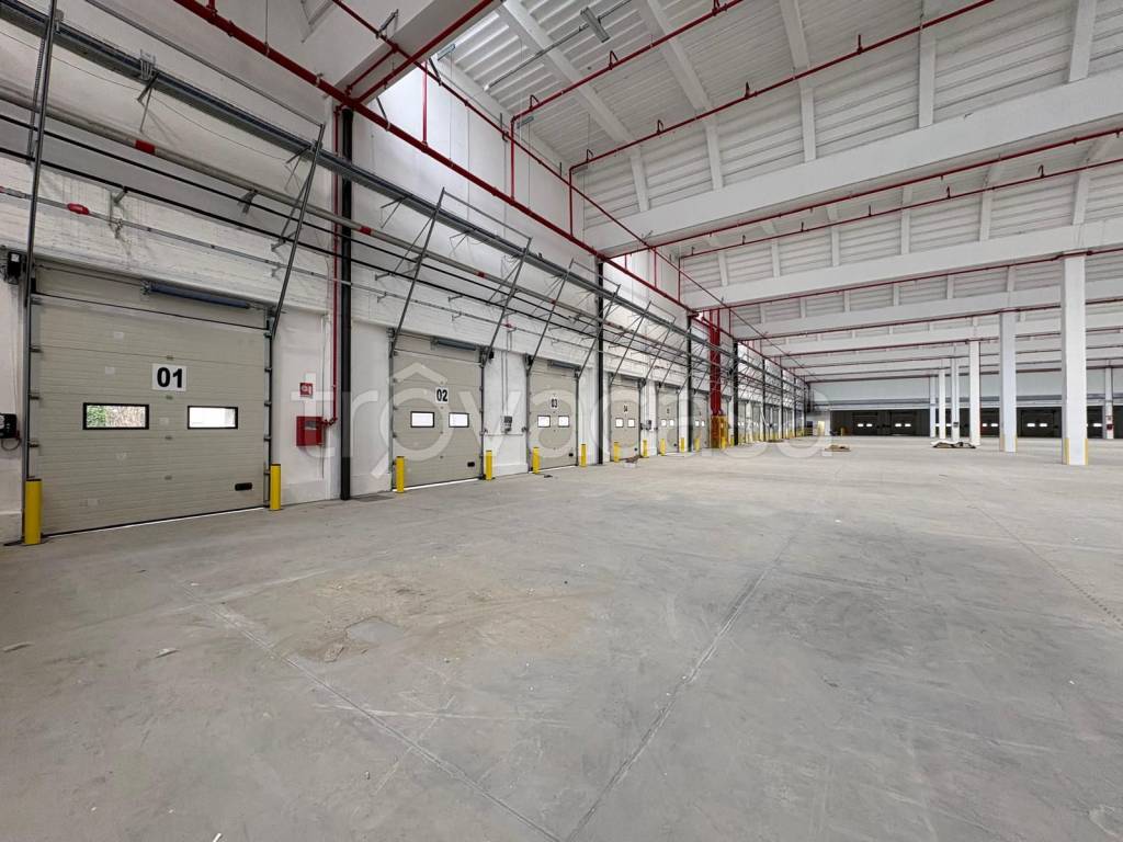 immagine annuncio 9 di 13