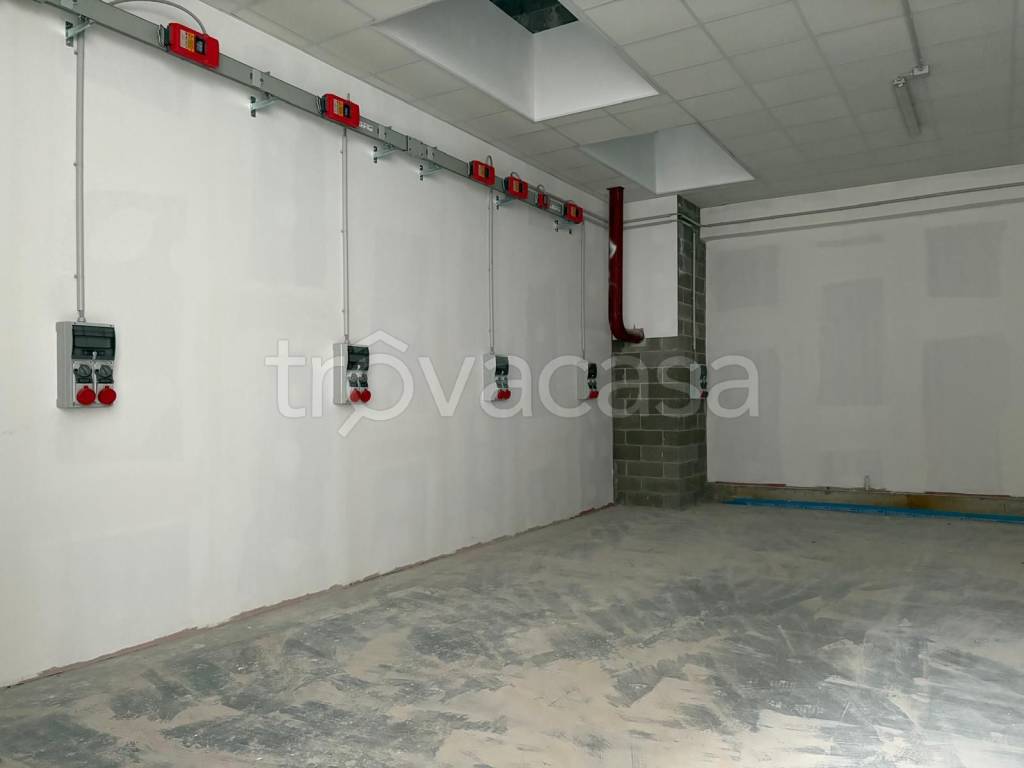 immagine annuncio 12 di 13