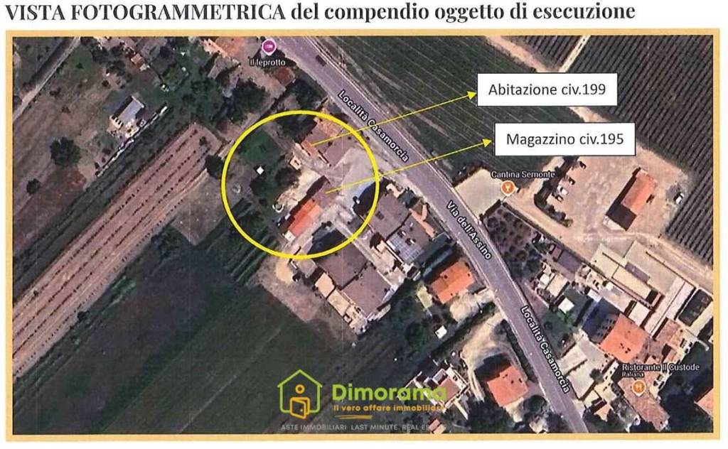 immagine annuncio 1 di 15