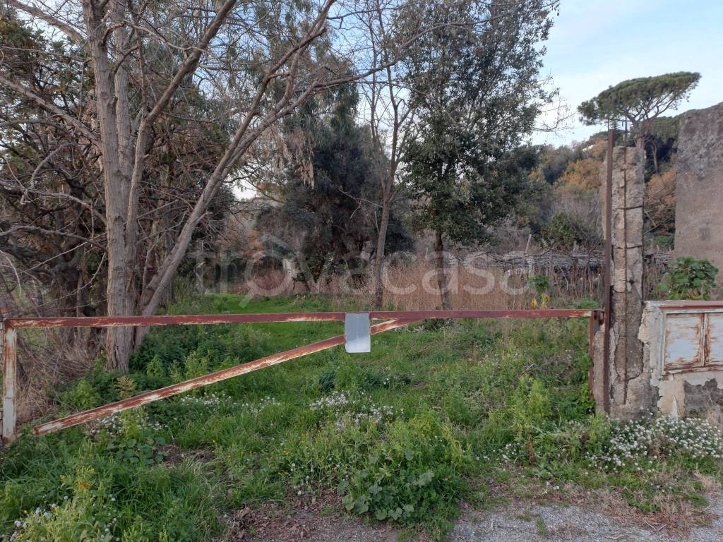 immagine annuncio 4 di 6