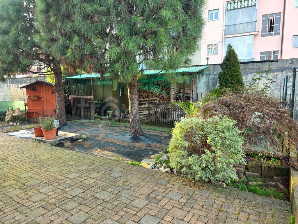 immagine annuncio 6 di 15