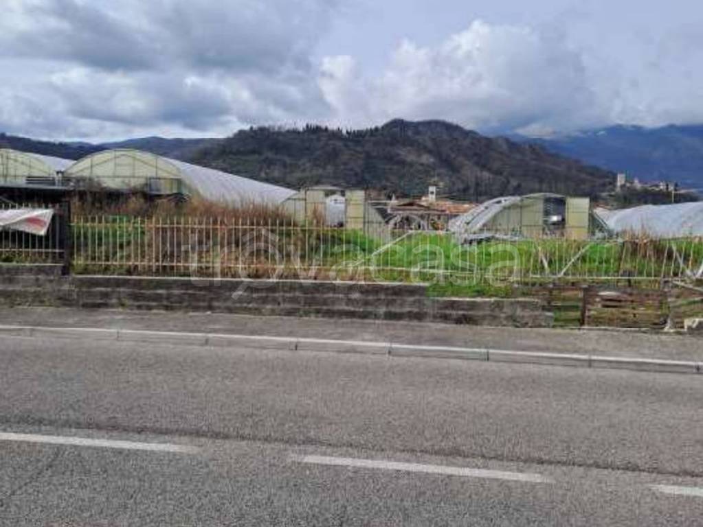 immagine annuncio 5 di 12