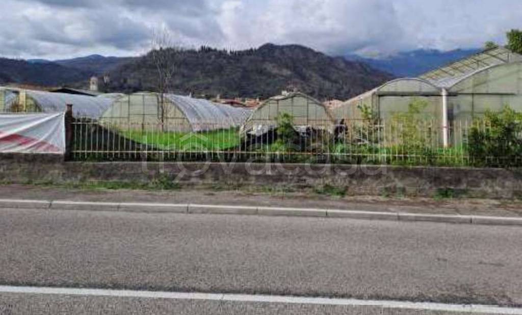 immagine annuncio 6 di 12