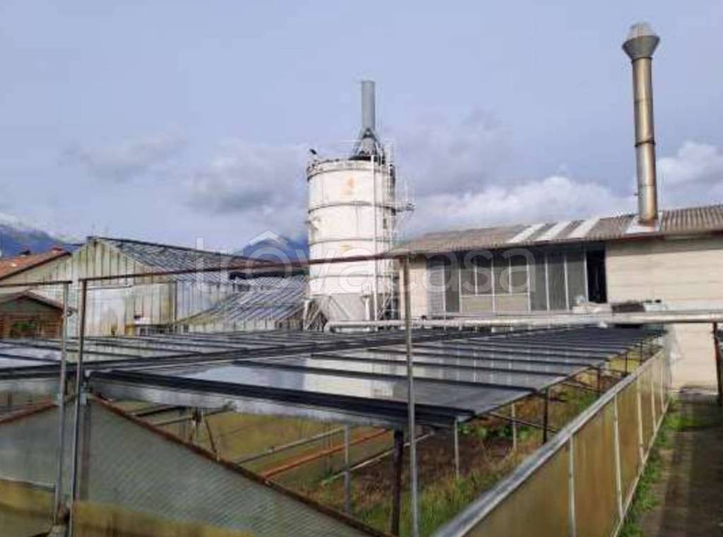 immagine annuncio 10 di 12