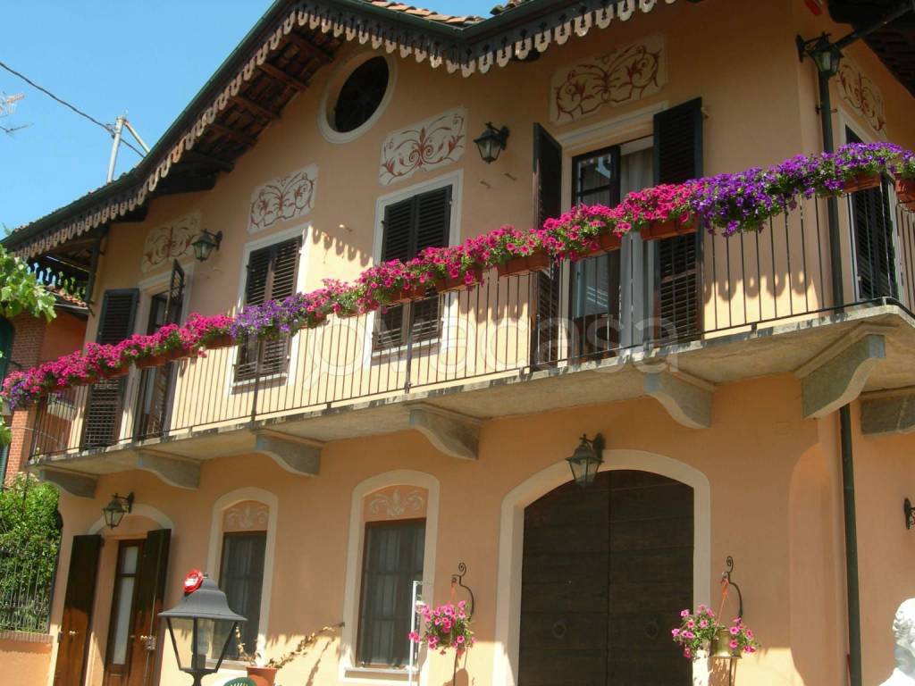 immagine annuncio 14 di 15