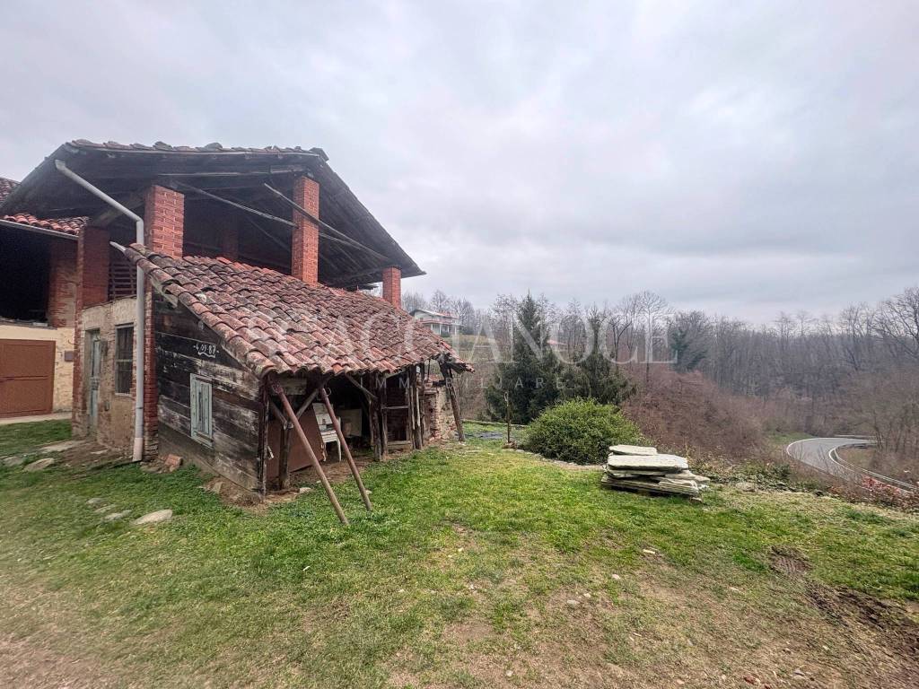 immagine annuncio 14 di 15