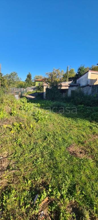 immagine annuncio 6 di 14