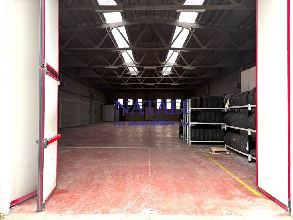 immagine annuncio 1 di 8