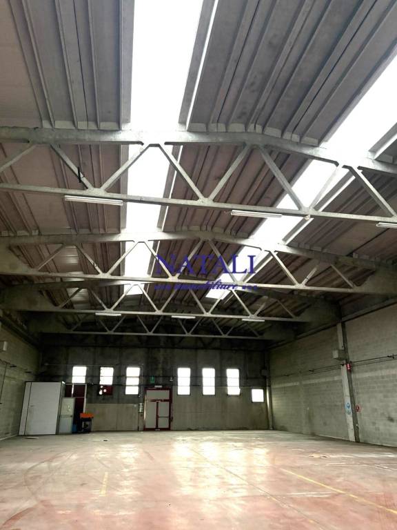 immagine annuncio 3 di 8